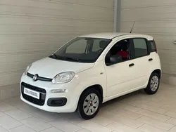 FIAT PANDA Easy 1.2 69 ch