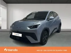 BYD Dolphin Design