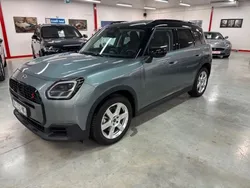 Mini countryman s all4 204 cv