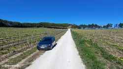 VW Golf Variant 1.6 TDi Confortline