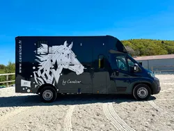 Camion Chevaux VL CAVALCAR Peugeot 180 Chevaux Stalles 5 Places Assises Toutes Options