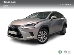 LEXUS NX 300h Executive Navigation 4WD