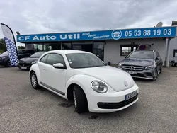 New beetle