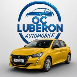 Peugeot 208 bluehdi 100 active