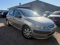 Peugeot 307 1.6 i 110 cv