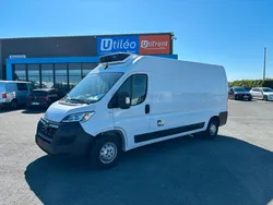 Opel Movano Frigorifique - L3H2 - 3 places - 3T5 140CH - 51 442 KMS - Isolation et Groupe froid neufs - 37 900 HT