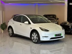 Tesla Model Y Long Range Plus Dual motor