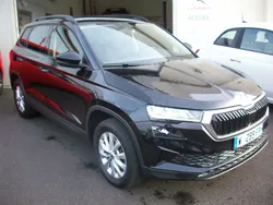 Skoda karoq BUSINESS 2.0 tdi 116 cv..dsg