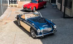 Austin Healey 3000 BN7 MK1 - Bel état - Hardtop - Expertisée - Garantie