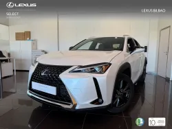 Lexus UX 250h Business 2WD