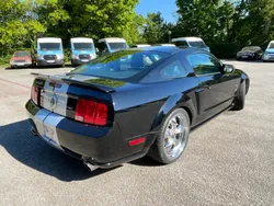 Ford Mustang V8 4.6l 300ch look Shelby