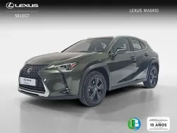 LEXUS UX 250h Business 4WD