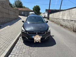 Peugeot 508 Blue-hdi
