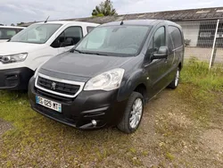 Peugeot partner dangel 4x2