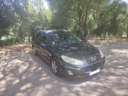Peugeot 407 (407)Break