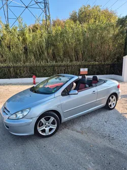 307 cc 2.0 16v 180 sport