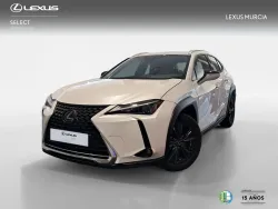 LEXUS UX 250h Business 4WD