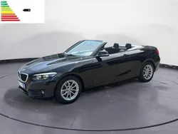 BMW Serie 2 218i Cabrio Advantage Navi Business AHK PDC LM