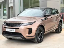 LAND ROVER Range Rover Evoque 2.0D I4 MHEV S AWD Aut. 163