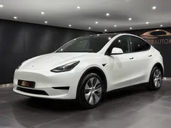 Tesla Model Y Standard
