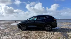 Lexus NX 450h+
