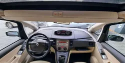 Lancia Musa (Musa)