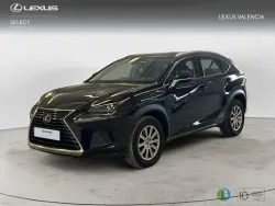 LEXUS NX 300h Business Navigation 2WD