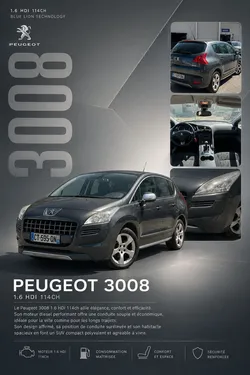 PEUGEOT 3008 I 1.6 HDI 114 cv