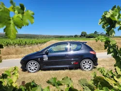 Peugeot 206 s16