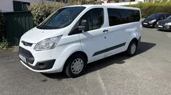 Ford custom 9 places