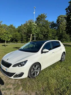Peugeot 308 1.6 blue hdi féline