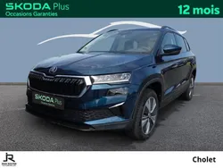 Skoda Karoq 2.0 TDI 116 ch SCR DSG7 Business