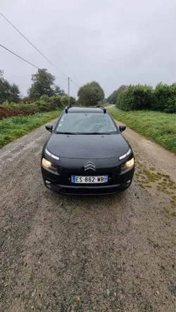 C4 cactus