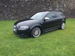 Audi A3 8p 1.9TDI SWAP PD130