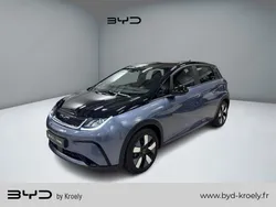BYD Dolphin Design 150 kW