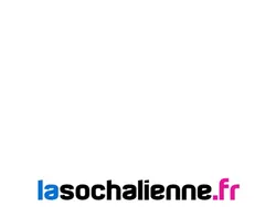 Fiat 500 1.0 65 ch Hybride Icone