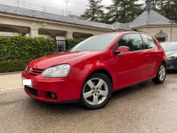 Volkswagen Golf Golf 1.9TDI GT Sport 105 GT Sport