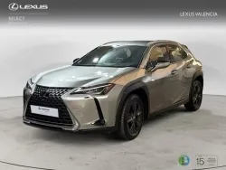 Lexus UX 250h BUSIESS