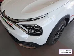 Citroën C4 BlueHDi 130 S&S EAT8 C-Series