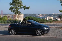 Peugeot 206 (2*Nfu*)