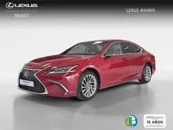 LEXUS ES 300h Luxury D-View