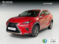 LEXUS NX 300h Business Navigation 2WD