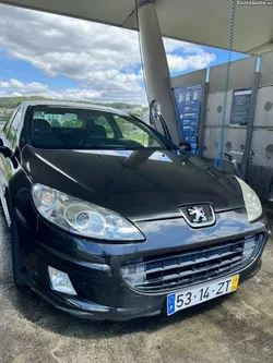 Peugeot 407 (407)