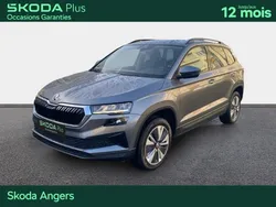 Skoda Karoq 2.0 TDI 116 ch SCR DSG7 Business