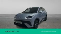 BYD Dolphin Design