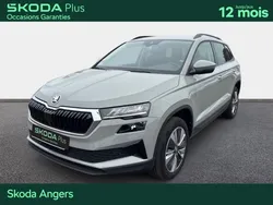 Skoda Karoq 2.0 TDI 116 ch SCR DSG7 Business