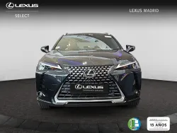 LEXUS UX 300h UX+