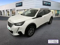 Peugeot 2008 Electrique 136 ch Style