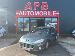 Peugeot 407 1.6 hdi bluelion 110 cv