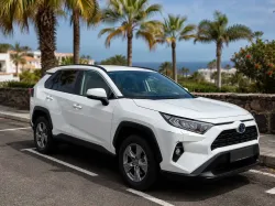 Toyota RAV 4 RAV-4 2.5 hybrid 2WD Business Business